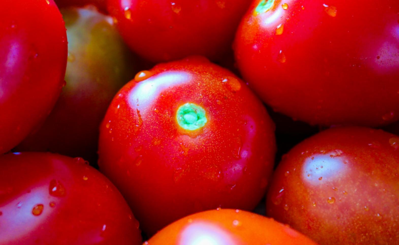 Résultats de cuisson sous-vide exceptionnels